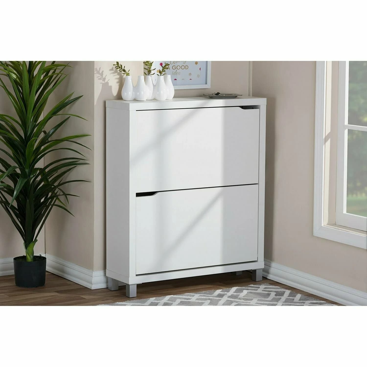 Modern Shoe Cabinet