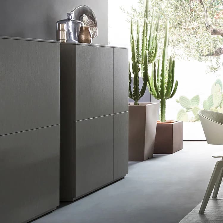 Loft Cabinet 1