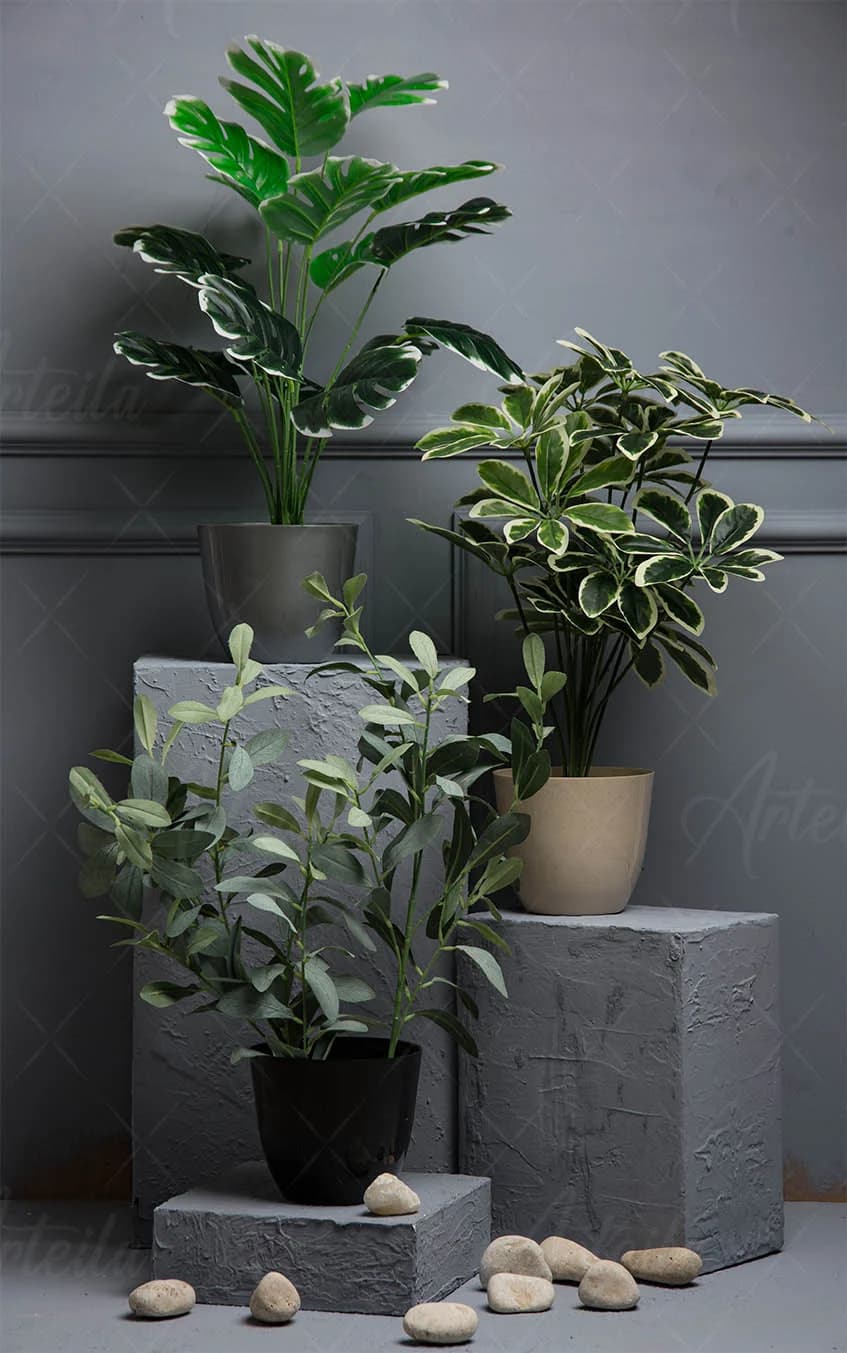 Elegant Collection of Vases