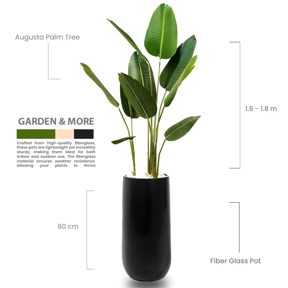 Black Vase