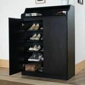 2 Doors Accent Shoe Cabinet