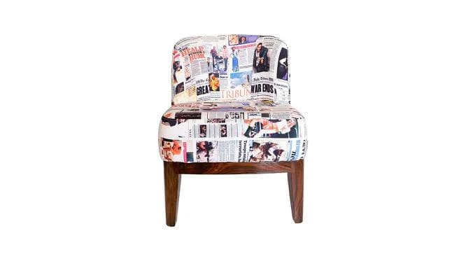 Ricky Lounge Chair In Multicolor